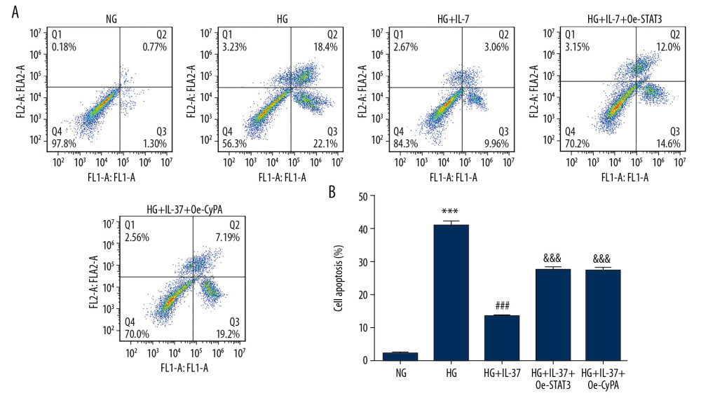 Overexpression of STAT3 and CypA inhibited the IL-37-induced reduction of apoptosis in high glucose-treated podocytes. (A) Apoptosis was detected by flow cytometry. B. Statistical analysis of apoptosis. *** p<0.001 vs. NG; ### p<0.001 vs. HG; &&& p<0.001 vs. HG+IL-37. NG – normal glucose group (medium with 5.5 mM glucose); HG – high-glucose group (medium with 30 mM glucose); HG+IL-37 – high-glucose group with added IL-37.