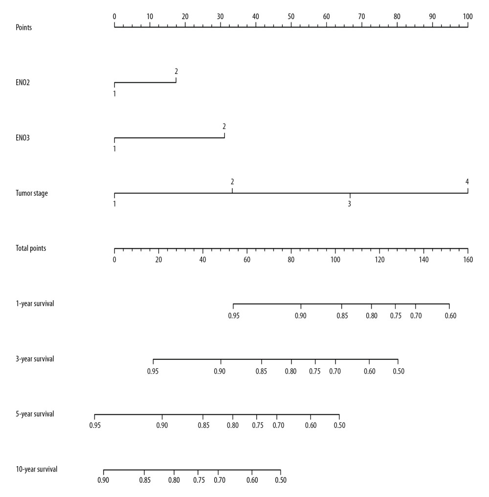 Nomogram for the prediction of OS in CRC with the use of ENO2, ENO3, and tumor stage.