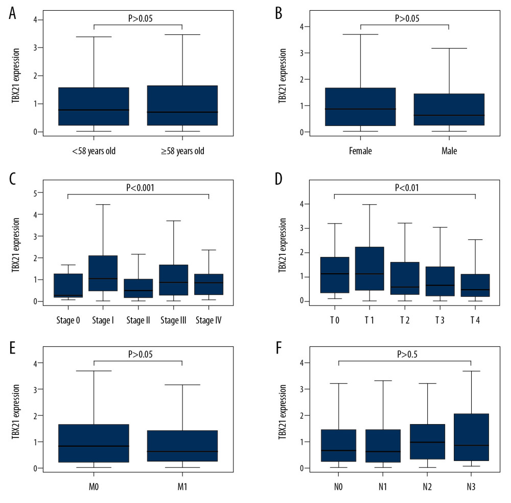 Relationship between TBX21 expression and clinical pathology. (A) Age. (B) Gender. (C) Clinical stage. (D) T stage. TBX21 expression was statistically significant during clinical stage and T stage (clinical stage: P<0.001; T stage: P<0.01). (E) Distant metastasis. (F) Lymph node metastasis.