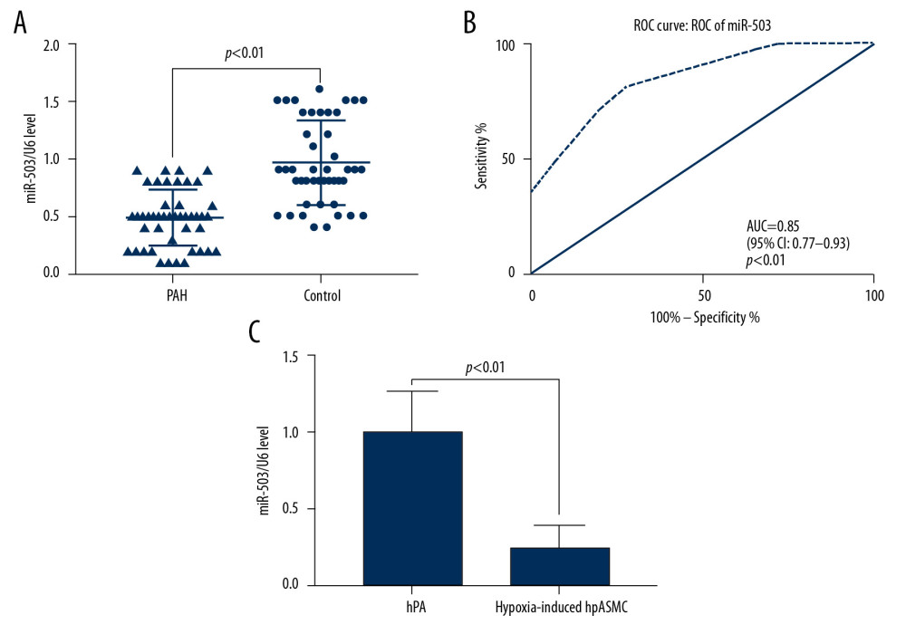 Low expression of microRNA-503 (miR-503) in plasma and hypoxic hPASMCs in patients with pulmonary hypertension (PAH). (A) Plasma miR-503 levels in plasma samples from patients with PAH and healthy controls. (B) Receiver operating curve (ROC) analysis for the diagnosis of PAH based on plasma miR-503 level. (C) miR-503 levels in hypoxic and non-hypoxic hPASMC cells.