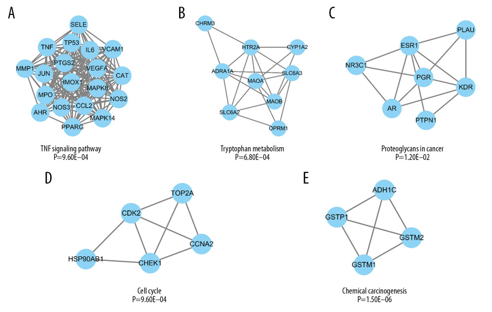 Sub-network of targets protein-protein interaction (PPI) network. (A) Sub-network 1 related to TNF signaling pathway. (B) Sub-network 2 related to tryptophan metabolism. (C) Sub-network 3 related to proteoglycans in cancer. (D) Sub-network 4 related to cell cycle. (E) Sub-network 5 related to chemical carcinogenesis.
