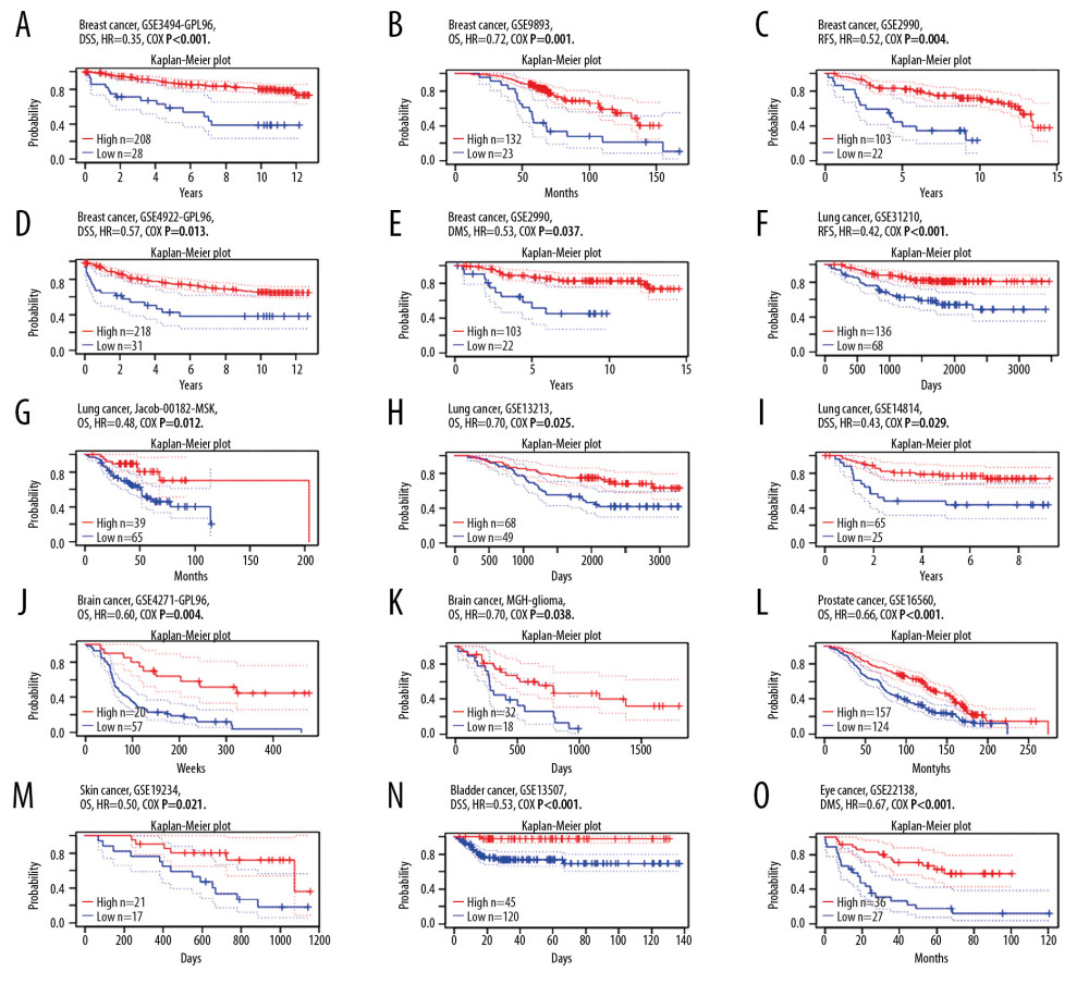 Kaplan-Meier survival curves comparing the increased and decreased expression of SATB1 in different types of cancer in PrognoScan. (A–E) Survival curves of DSS, OS, RFS, DFS, and DMFS in breast cancer cohorts [GSE3494-GPL96 (n=236), GSE9893 (n=155), GSE2990 (n=125), and GSE4922 (n=249)]. (F–I) Survival curves of RFS, OS, and DSS in lung cancer cohorts [GSE31210 (n=204), Jacob-00182-MSK (n=104), GSE13213 (n=117), and GSE14814 (n=90)]. (J, K) Survival curves of OS in brain cancer cohorts [GSE4271-GPL96 (n=77), MGH-glioma (n=50)]. (L) Survival curves of OS in prostate cancer cohorts [GSE16560 (n=281)]. (M) Survival curves of OS in skin cancer cohorts [GSE19234 (n=38)]. (N) Survival curves of DSS in bladder cancer cohorts [GSE13507 (n=165)]. (O) Survival curves of DSS in eye cancer cohorts [GSE22138 (n=63)]. DSS – disease-specific survival; OS – overall survival; RFS – relapse-free survival; DFS – disease-free survival; DMFS – distant metastasis free survival.