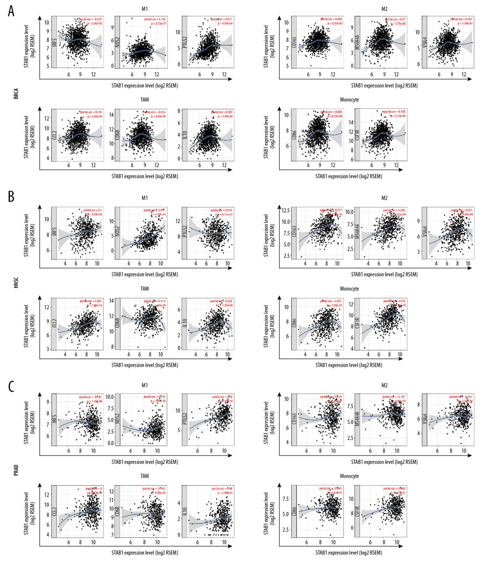 SATB1 expression correlated with macrophage polarization in BRAC, HNSC, and PRAD. Markers include CD86 and CSF1R of monocytes; CCL2, CD68, and IL10 of TAMs; NOS2, IRF5, and PTGS2 of M1 macrophages; and CD163, VSIG4, and MS4A4A of M2 macrophages. (A) Scatterplots of correlations between SATB1 expression and gene markers of M1 macrophages, M2 macrophages, TAMs, and monocytes in BRAC (n=1093). (B) Scatterplots of correlations between SATB1 expression and gene markers of M1 macrophages, M2 macrophages, TAMs, and monocytes in HNSC (n=520). (C) Scatterplots of correlations between SATB1 expression and gene markers of M1 macrophages, M2 macrophages, TAMs, and monocytes in PRAD (n=497). BRCA – breast invasive carcinoma; HNSC – head and neck cancer; PRAD – prostate adenocarcinoma; TAMs – tumor associated macrophages.