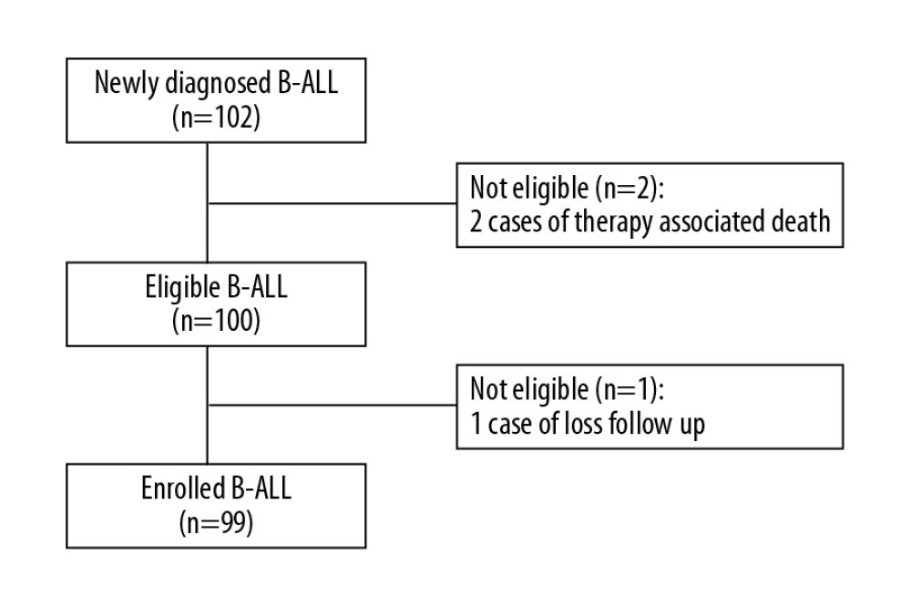 Flow diagram for the included childhood B-ALL cases.