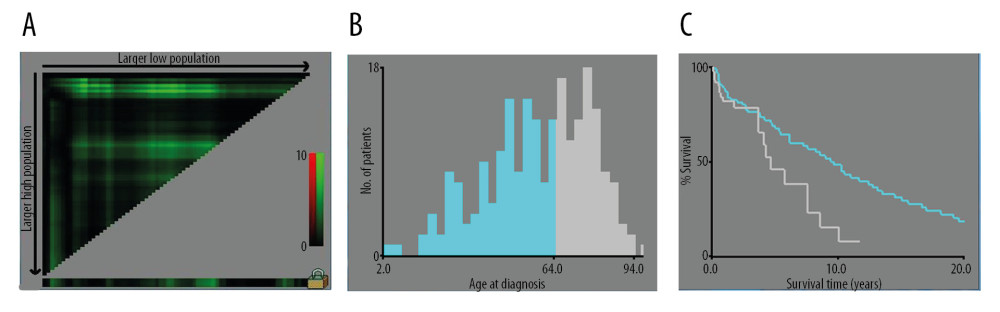 (A–C) The image show defining the optimal cutoff values of age via X-tile analysis. (A) The black dot indicates that optimal cutoff values of age have been identified. (B) A histogram and (C) Kaplan-Meier curve were constructed based on the identified cutoff values. Optimal cutoff values of age were identified as 64 years based on survival.