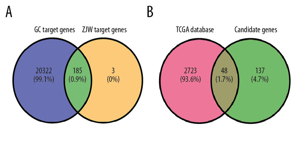 Zuojinwan (ZJW) target gene prediction for gastric cancer treatment. The overlapping number of gastric cancer (GC) and ZJW target genes (A), and the number of overlapping gastric cancer genes from The Cancer Genome Atlas (TCGA) database and ZJW candidate genes against GC (B).