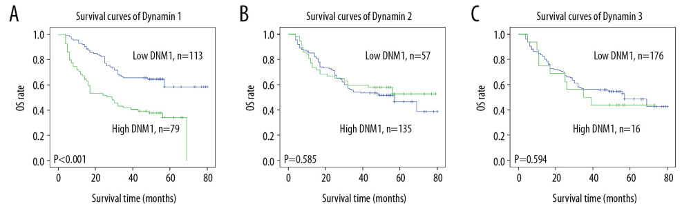 The prognostic significance on overall survival (OS) of dynamin 1, 2, and 3 expression in tissue sections of hepatocellular carcinoma (HCC) and adjacent normal liver tissues. (A–C) The correlations between dynamin 1, 2, and 3 expression and the OS curves, evaluated using the Kaplan-Meier method. The prognostic significance was evaluated with the log-rank test.