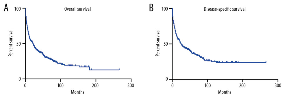 Kaplan-Meier analysis of overall survival (A) and disease-specific survival (B) in PHNET patients.