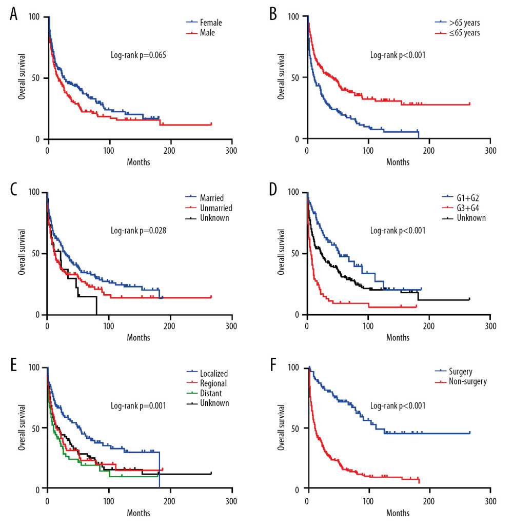 Kaplan-Meier analysis of overall survival in PHNET patients according to (A) Sex, (B) Age, (C) Marital status, (D) Histological grade, (E) SEER stage, (F) Tumor-directed surgery.