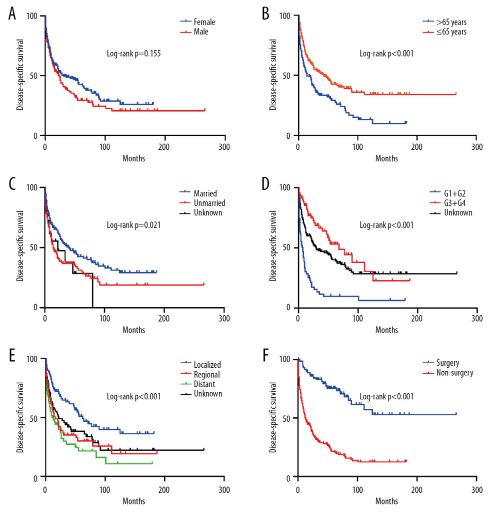 Kaplan-Meier analysis of disease-specific survival in PHNET patients according to (A) Sex, (B) Age, (C) Marital status, (D) Histological grade, (E) SEER stage, (F) Tumor-directed surgery.