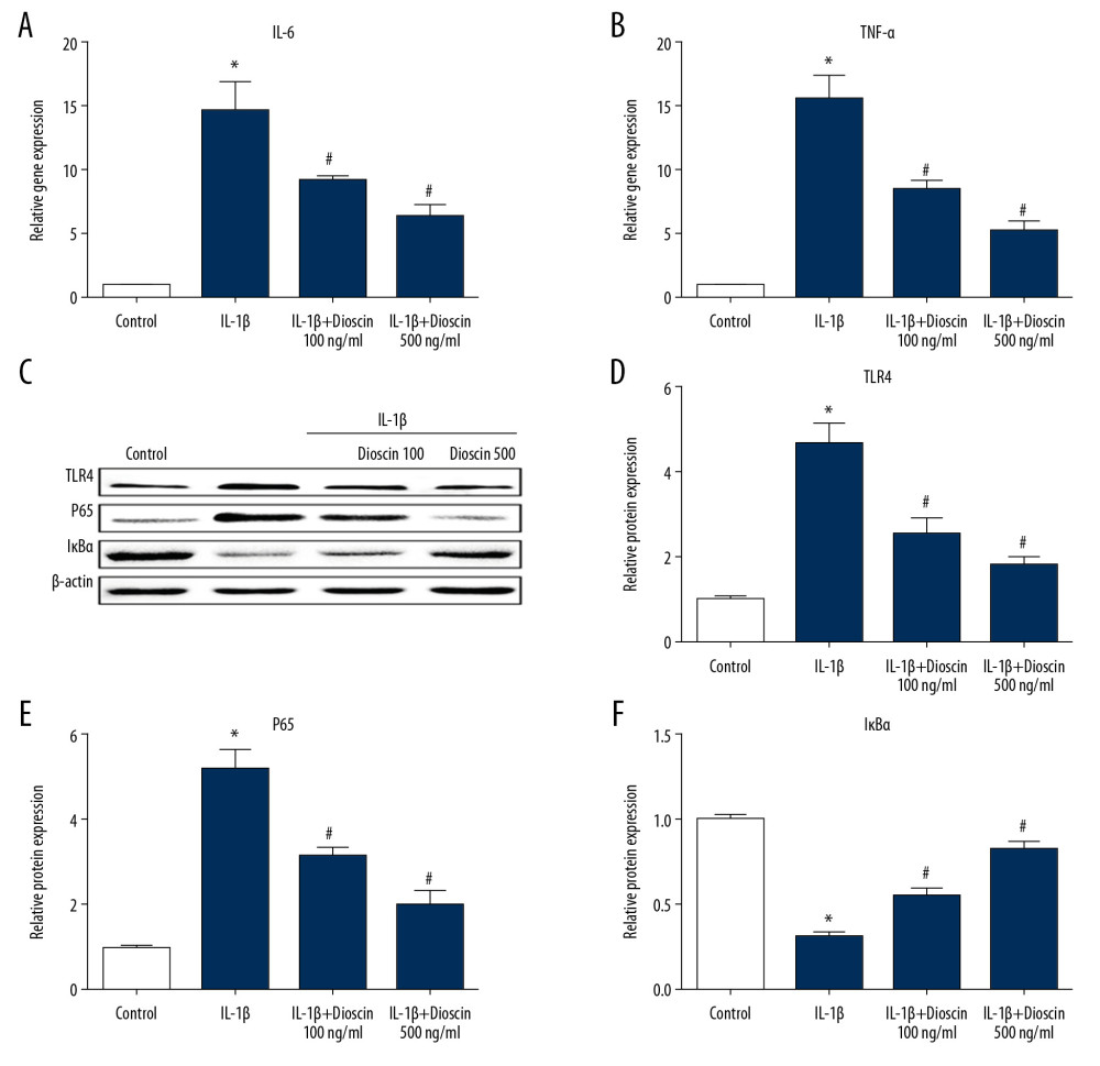 Dioscin suppressed IL-1β-induced release of proinflammatory factors via regulation of the NF-κB pathway in human NP cells. (A, B) Relative mRNA level of (A) IL-6 and (B) TNF-α were examined by PCR. (C–F) Western blotting and quantitative analysis of TLR4, p65, and IκBα. The results are presented as the means ±SD. * P<0.05 relative to the control group; # P<0.05 relative to the IL-1β group, n=5.