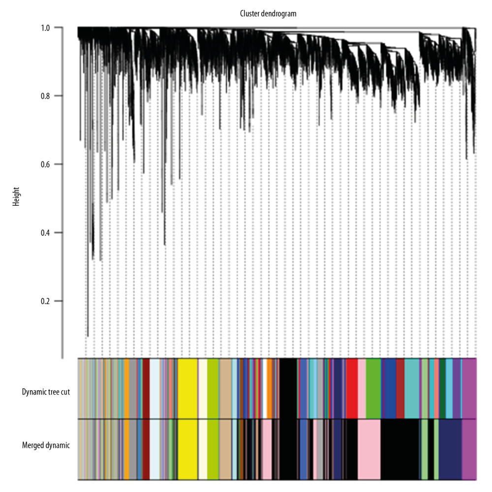 The cluster dendrogram of mRNA in mRNA expression data, each branch represents a gene, and each color below represents a co-expression module. The first ribbon represents the module detected by dynamic tree cutting, and the second ribbon represents the module after merging the similar module.
