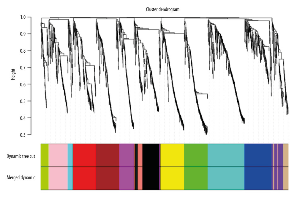 The cluster dendrogram of miRNAs in miRNA expression data.