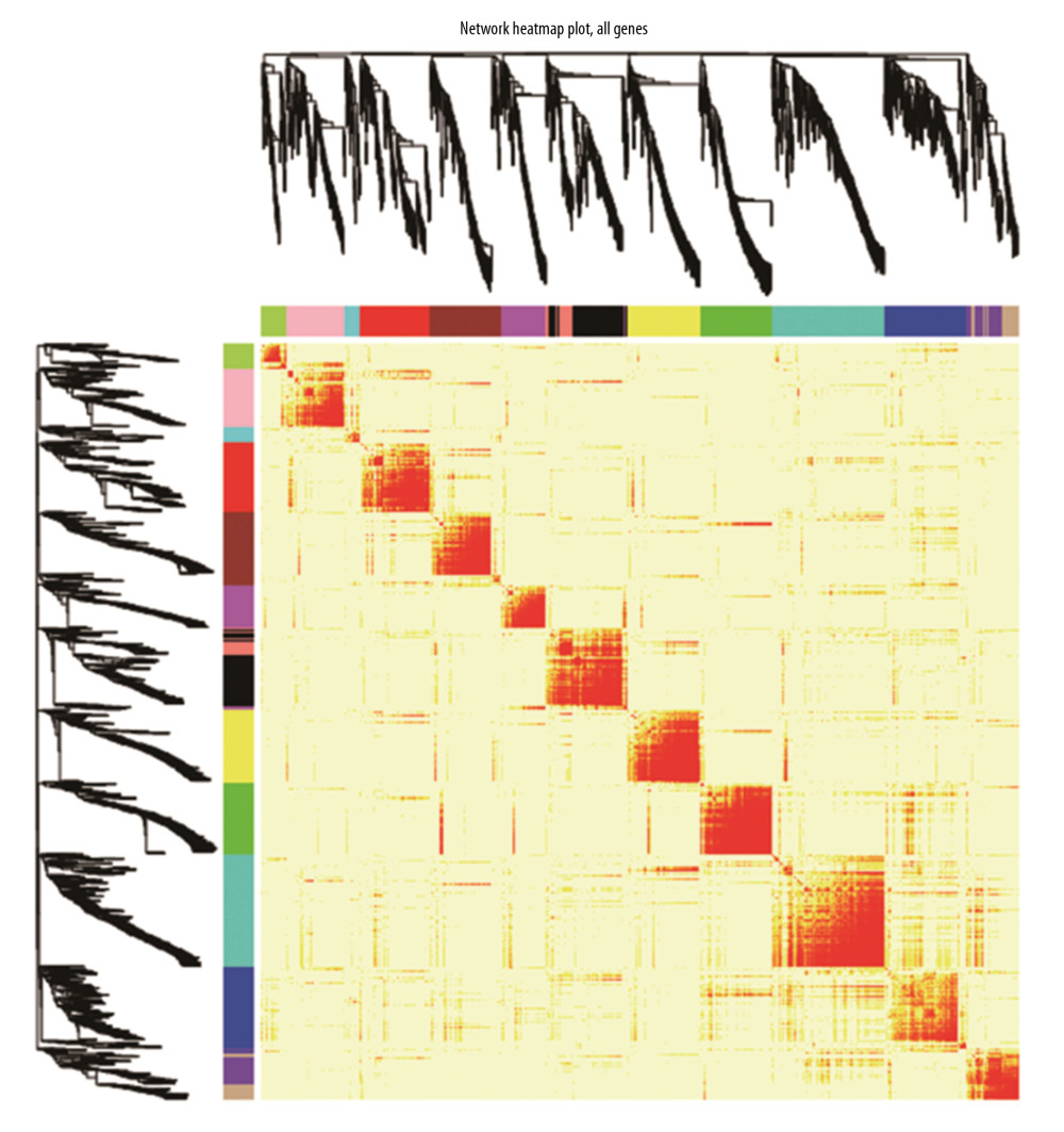 The interaction relationship of co-expressed miRNAs. The different colors in the vertical and horizontal axes stand for different miRNAs modules. The yellow color in the middle area indicated a degree of connection for each miRNA module.