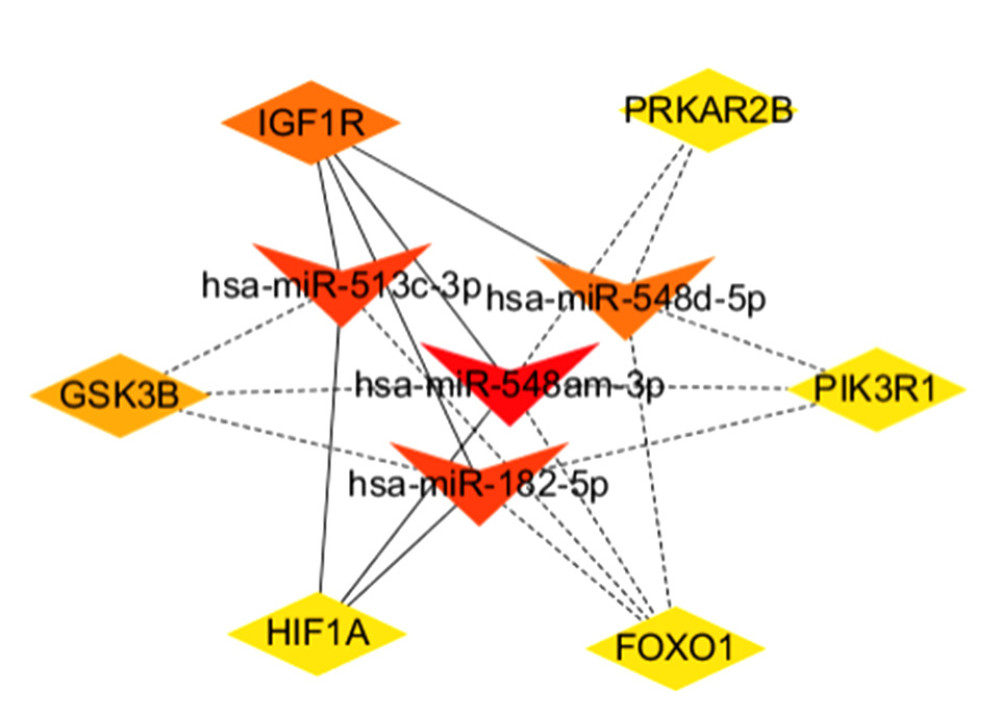 Top 10 nodes in miRNA-gene network.