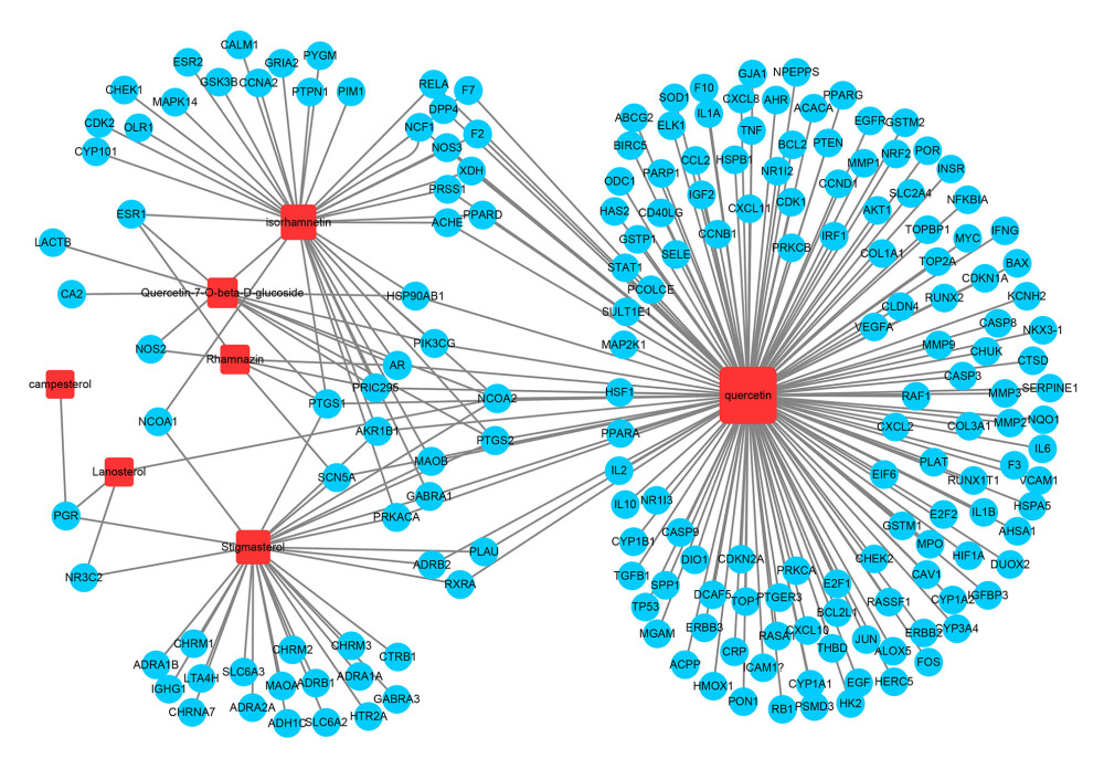 Compounds-targets network. The red nodes represent the active compounds in Anoectochilus roxburghii (AR), and the blue nodes represent the targets of AR compounds. The edges represent the relationships between the active compounds of AR and the corresponding targets.