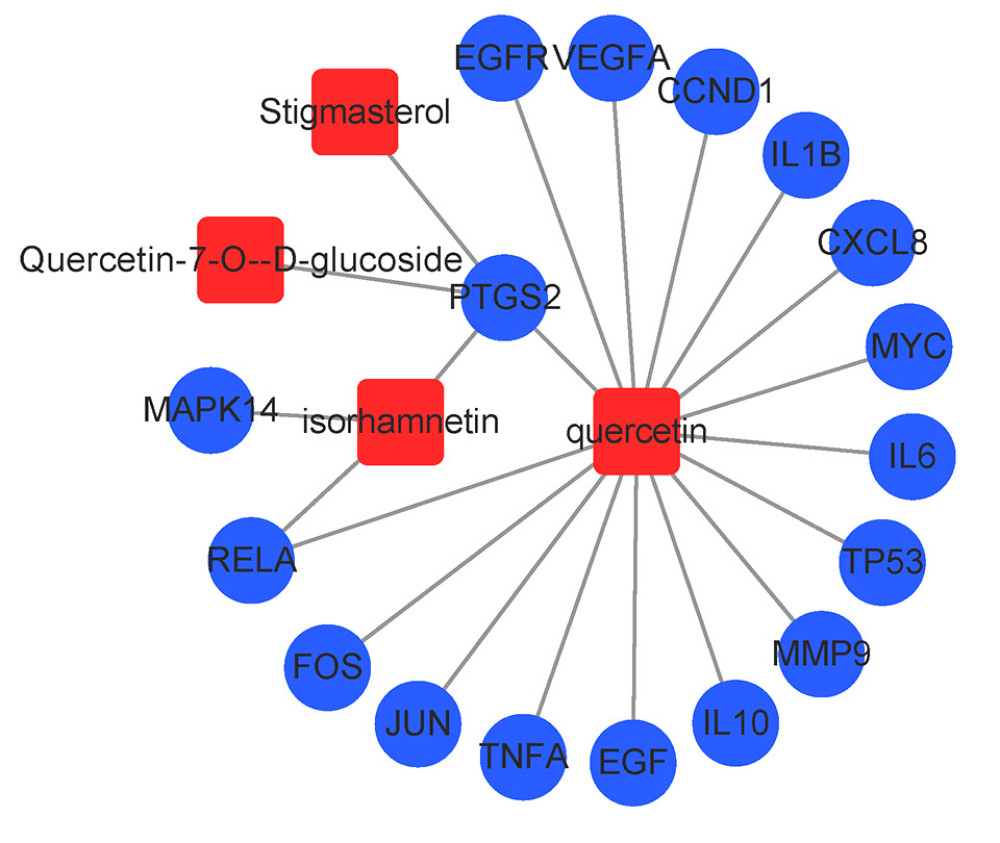 Network of bio-active compounds and core targets of Anoectochilus roxburghii (AR) against liver injury. Red square nodes denote bio-active compounds of AR, and blue round nodes denote the hub targets of AR against liver injury.
