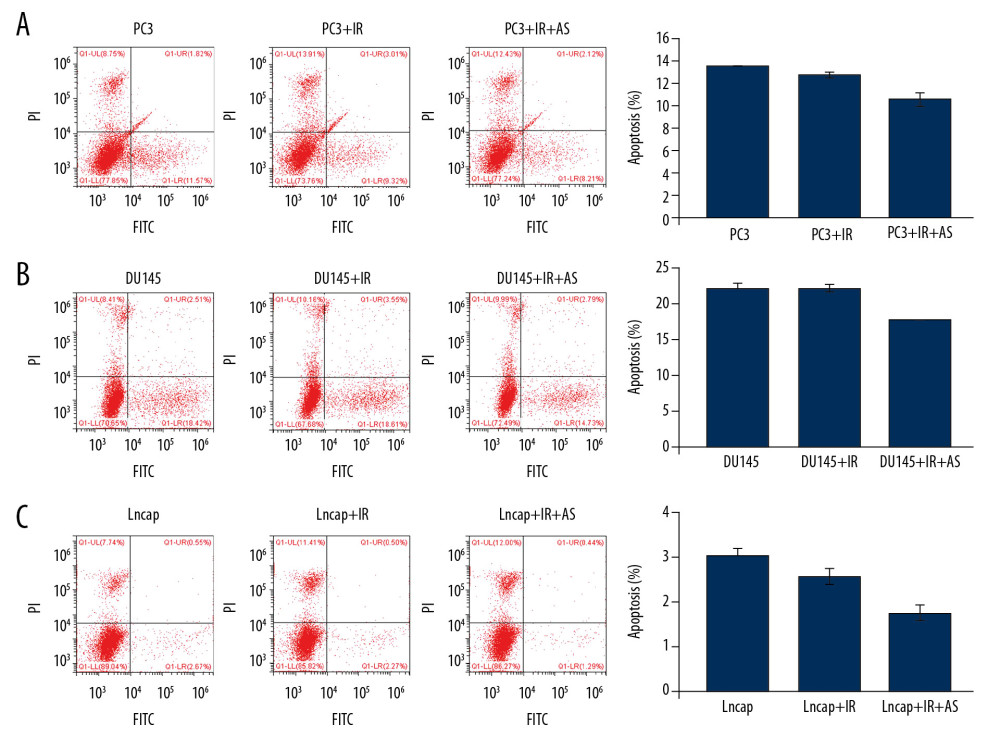 Evaluation for apoptosis of PC3, DU145 and Lncap cells undergoing IR and/or AS administration. (A) Flow cytometry images and statistical analysis for apoptosis of PC3 cells. (B) Flow cytometry images and statistical analysis for apoptosis of DU145 cells. (C) Flow cytometry images and statistical analysis for apoptosis of Lncap cells.