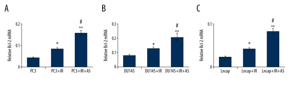 Effects of irradiation (IR) and/or atorvastatin (AS) administration on Bcl-2 mRNA expression in PCa cells. (A) Statistical analysis for Bcl-2 mRNA expression in PC3 cells. (B) Statistical analysis for Bcl-2 mRNA expression in DU145 cells. (C) Statistical analysis for Bcl-2 mRNA expression in Lncap cells. * P<0.05, ** P<0.01 versus PC3 or DU145 or Lncap group. # P<0.05 versus PC3+IR or DU145+IR or Lncap+IR group.