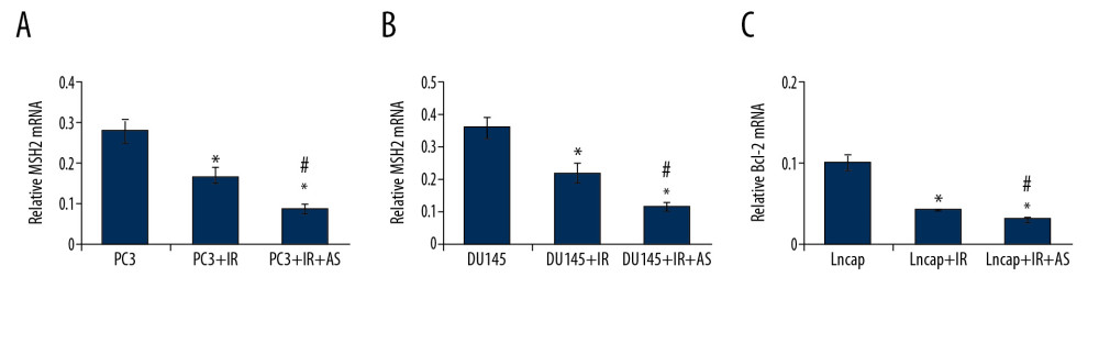 Determination for the effects of irradiation (IR) and/or atorvastatin (AS) administration on MSH2 mRNA expression in PCa cells. (A) Statistical analysis for MSH2 mRNA expression in PC3 cells. (B) Statistical analysis for MSH2 mRNA expression in DU145 cells. (C) Statistical analysis for MSH2 mRNA expression in Lncap cells. * P<0.05 versus PC3 or DU145 or Lncap group. #P < 0.05 versus PC3+IR or DU145+IR or Lncap+IR group.