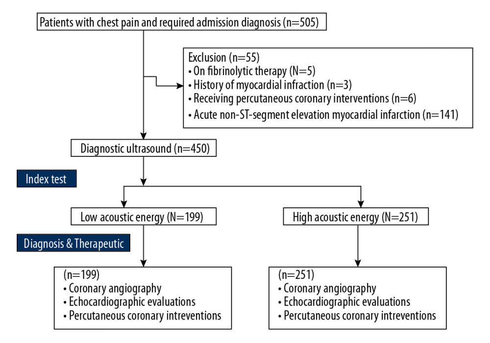 Flowchart of the diagnosis and treatment.