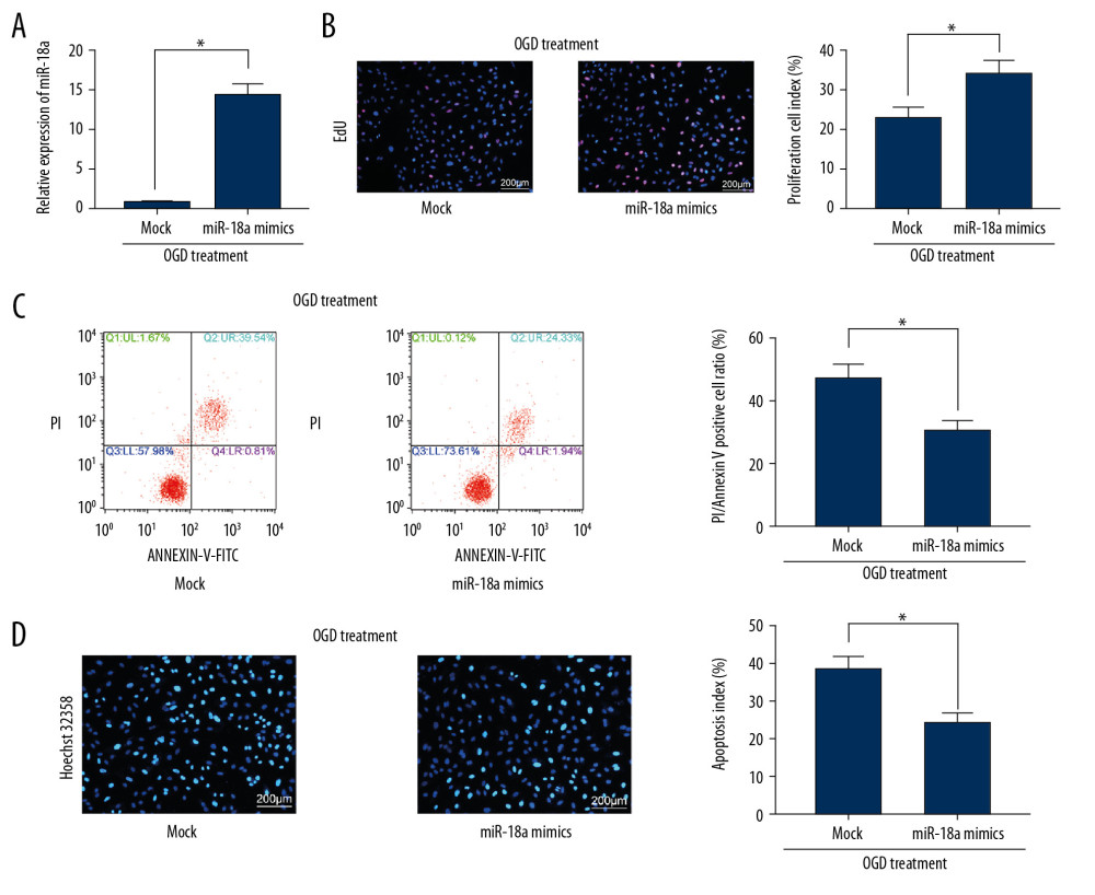 Overexpression of miR-18a inhibits apoptosis and promotes viability of N2a cells. (A) MiR-18a expression before and after miR-18a mimic transfection was performed using RT-qPCR. (B) Viability of OGD-treated N2a cells was detected using EdU labeling assay. (C, D) Apoptosis of OGD-treated N2a cells was detected using Hoechst 33258 staining (C) and flow cytometry (D). Data are shown as mean±SD based on 3 independent experiments. * p<0.05. Data were analyzed using the unpaired t test.