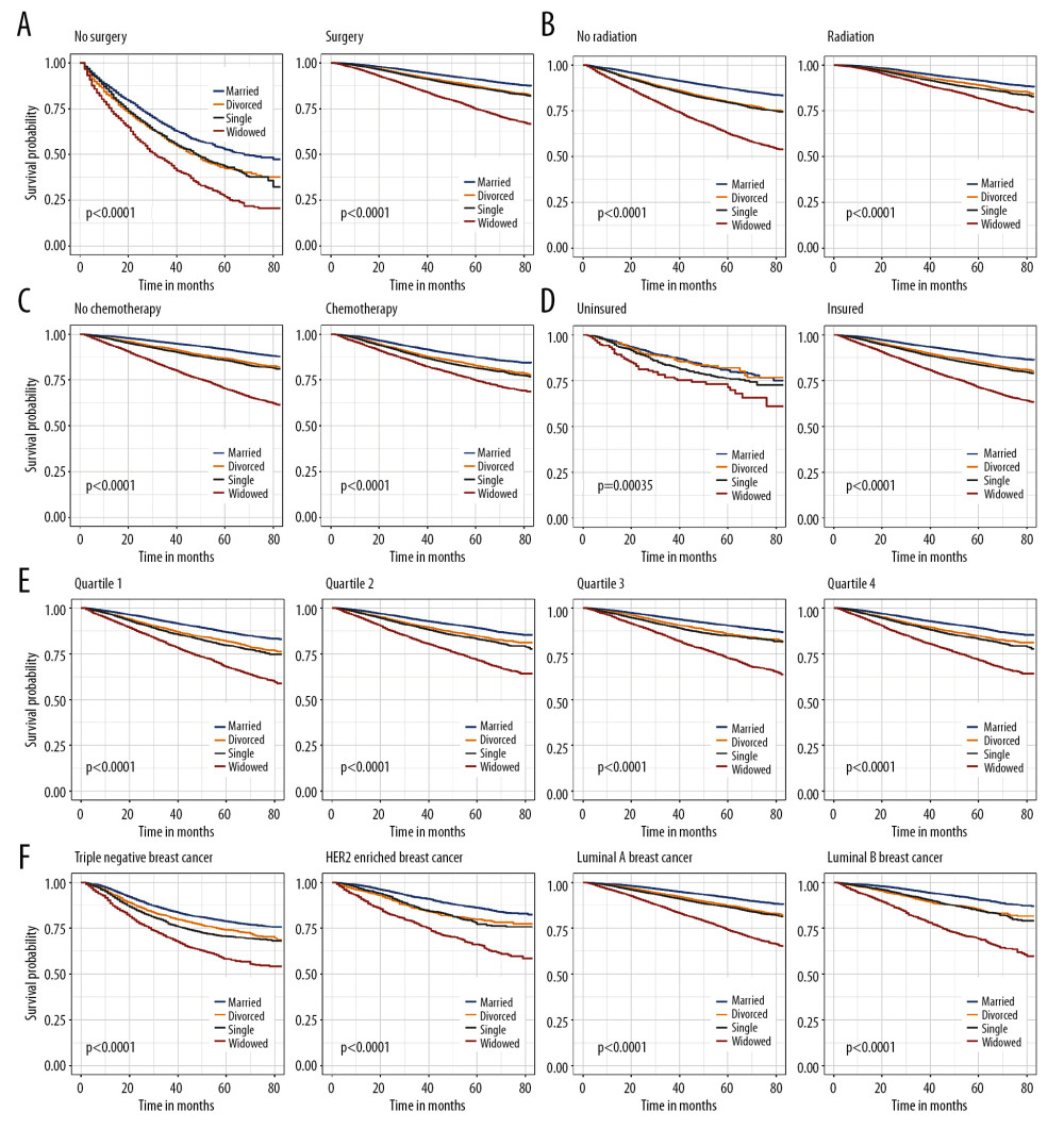 Kaplan-Meier analysis for overall survival in subgroups stratified by surgery (A), radiation (B), chemotherapy (C), insurance status (D), median household income (E), and subtype (F).