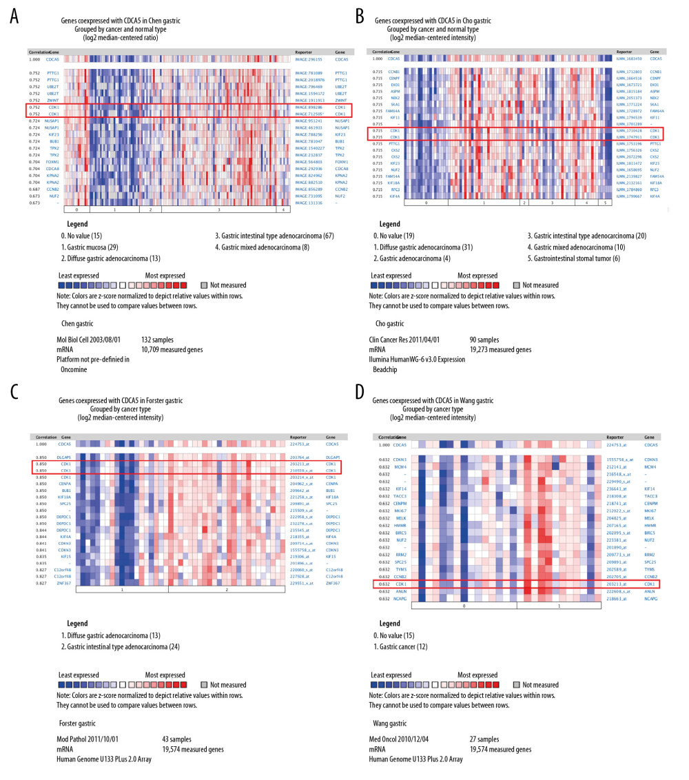 Co-expression analysis of CDCA5 and CDK1. Co-expression analysis of CDCA5 and CDK1 in clinical specimens of gastric cancer showed high correlation between the 2. (A) R=0.752, n=132; (B) R=0.715, n=90; (C) R=0.850, n=43; (D) R=0.632, n=27.