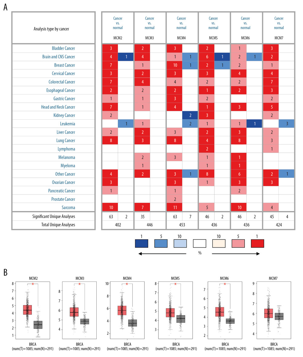 Expression of MCM genes across different types of cancers (A) Transcription levels of MCMs in twenty human cancers compared with normal tissue were obtained from ONCOMINE, with the gene rank ≤ top 5%, fold change ≥2 and threshold of P≤0.001. Significant mRNA underexpression or overexpression of MCMs was shown as blue or red cell. Cancer types are organized by their tissue of origin, and the degree of color was determined by the gene rank percentile of the highest-ranking analyses. (B) MCMs expression levels in breast cancer compared with normal tissues in the GEPIA database.