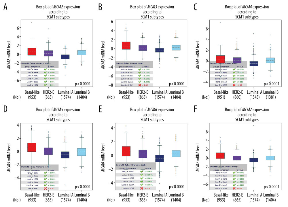 (A–F) mRNA expression levels of MCMs in four molecular subtypes of breast cancer. The Welch’s test was performed along with Dunnett-Tukey-Kramer’s tests for pairwise comparison when a global significant difference existed (P<0.05).