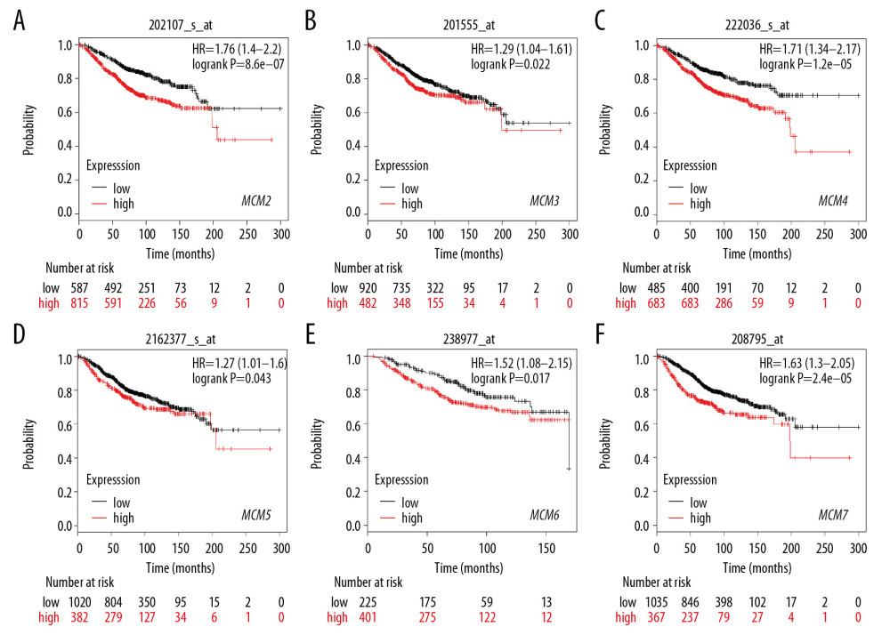 (A–F) Prognostic values of mRNA levels of MCMs in patients under all breast cancer subtypes (OS in Kaplan-Meier plotter).