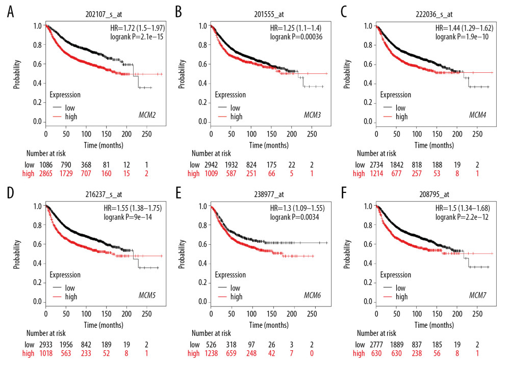 (A–F) Prognostic values of mRNA levels of MCMs in patients under all breast cancer subtypes (RFS in Kaplan-Meier plotter).