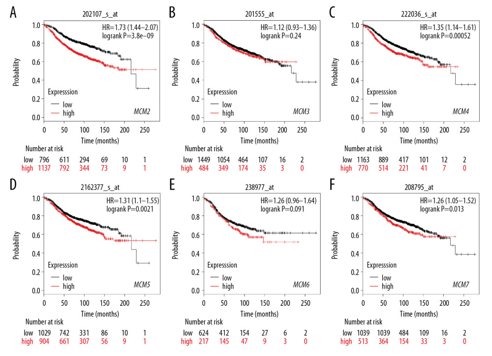 (A–F) Prognostic values of mRNA levels of MCMs in patients with Luminal-A breast cancer (RFS in Kaplan-Meier plotter).