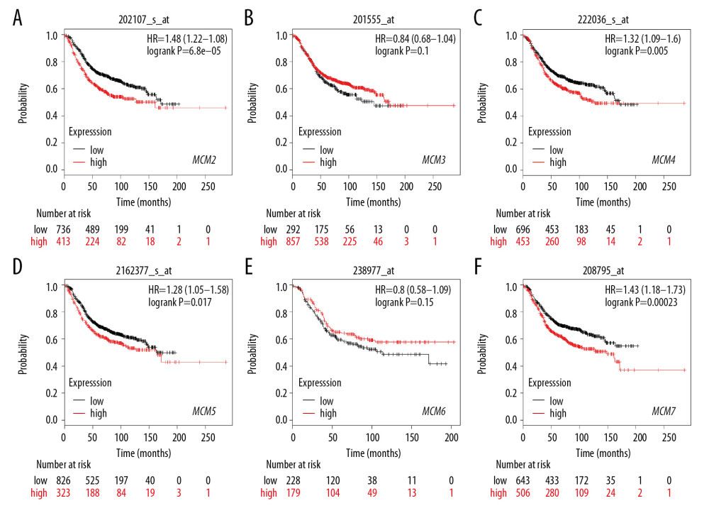 (A–F) Prognostic values of mRNA levels of MCMs in patients with Luminal-B breast cancer (RFS in Kaplan-Meier plotter).