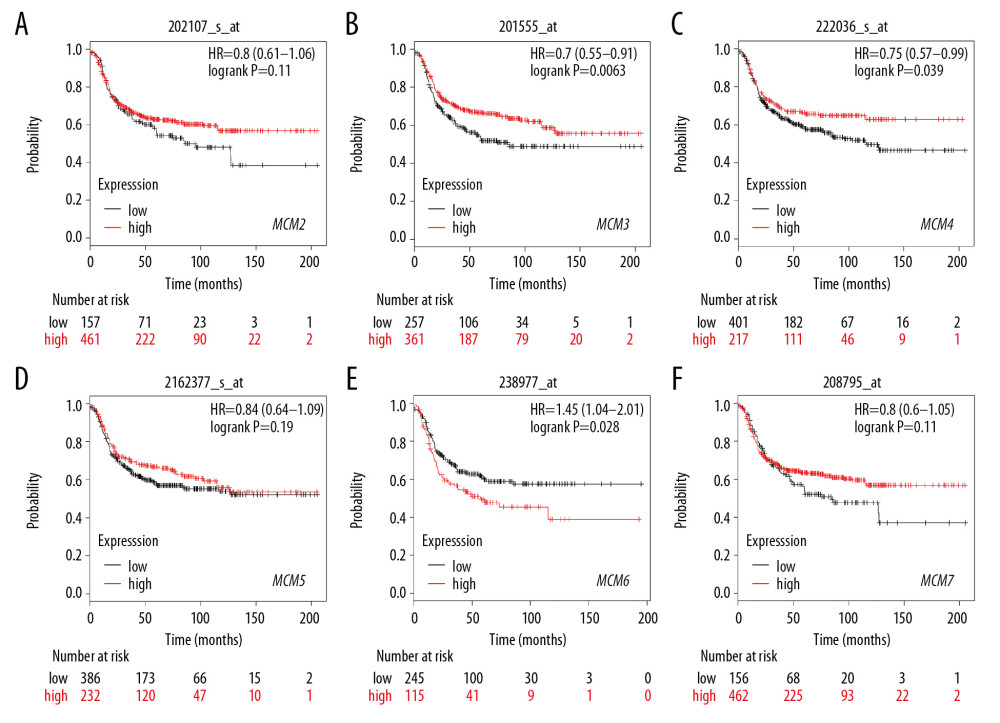 (A–F) Prognostic values of mRNA levels of MCMs in patients with basal-like breast cancer (RFS in Kaplan-Meier plotter).