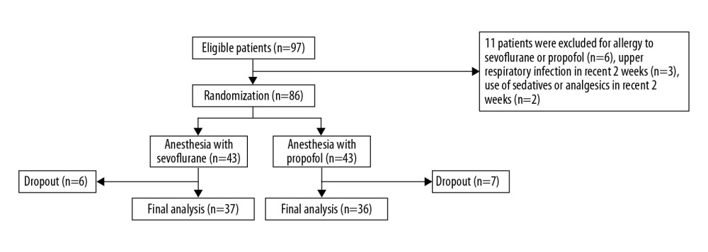 Flow diagram of patient inclusion process.