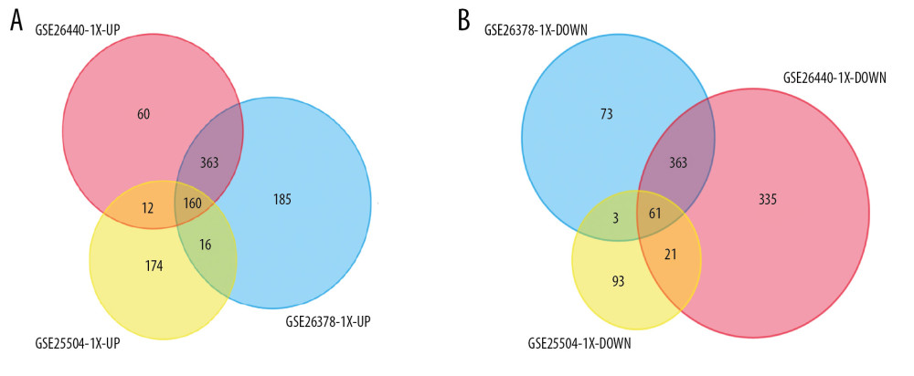 Venn diagrams showing the overlaps of numbers of differential expression genes (DEGs) between 3 selected Gene Expression Omnibus (GEO) datasets. (A, B) illustrate overlap of upregulated and downregulated genes in GSE25504, GSE26378, and GSE26440 dataset, respectively.