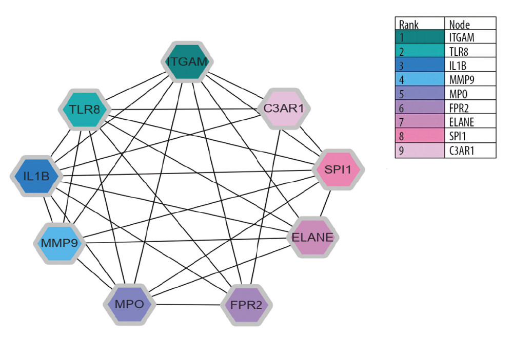 Protein–protein interaction network for the top 9 hub genes. Node color indicates the number of degrees. The top 9 ranked hub genes are depicted using a pseudocolor scale. Green color stands for highest degree, and pink color represents lowest degree.