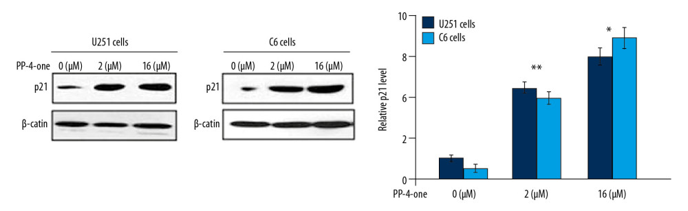 Effects of PP-4-one on the cell cycle progression. The U251 and C6 cells after 72 hours treatment with PP-4-one (1.0 μM and 16 μM) or DMSO were assessed for p21 levels by western blotting and the data were quantitative analyzed. * P<0.05 and ** P<0.02 versus control cells. PP-4-one – pyrazolo[4,3-c]pyridine-4-one.
