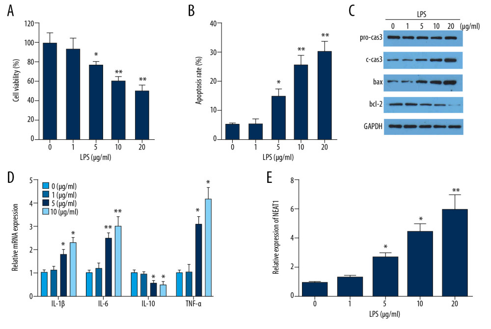 The effect of LPS treatment on PC-12 cells. (A) PC-12 cell viability after LPS treatment was detected by CCK-8. (B) PC-12 cell apoptosis after LPS treatment was detected by flow cytometry. (C, D) Expression levels of inflammatory cytokines after LPS treatment were detected by ELISA. (E) Relative expression of lncRNA NEAT1 after LPS treatment was assessed by qPCR. * P<0.05 vs. 0 μg/ml, ** P<0.01 vs. 0 μg/ml.