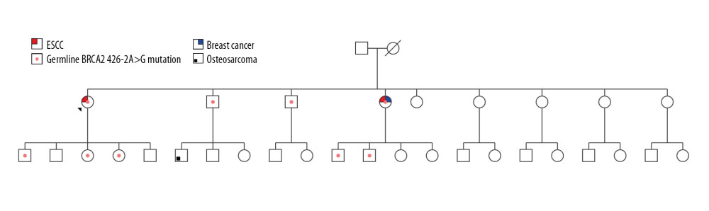 Pedigree of 2 patients with familial ESCC who shared the truncating mutation 426-2A>G. “ + ”shows family members who carry this mutation and “ − ”represents patients without this mutation.