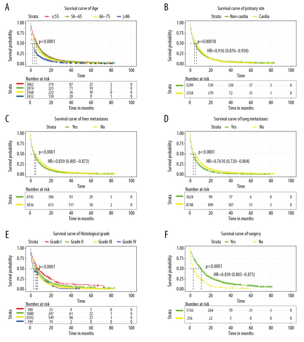 Kaplan-Meier survival curve for (A) age, (B) primary site, (C) liver metastases, (D) lung metastases, (E) histological grade, (F) surgery in stage IV gastric cancer patients.
