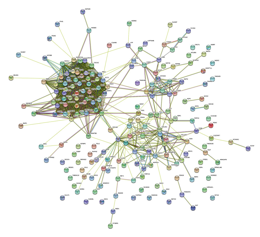 PPI network of ESCA-related differentially expressed genes (DEGs). The number of nodes was 202 (with 8 untouched genes). The number of edges was 1571; much higher than the expected 298 edges. The average node degree was 15.6. The average local clustering coefficient was 0.582. The PPI enrichment p value was less than 1.0e-16.