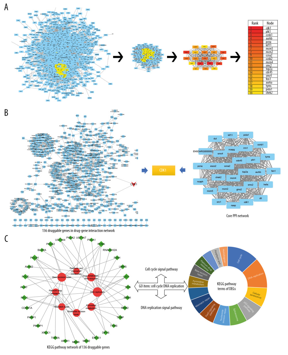 (A) Core PPI network and hub genes identified by CytoNCA and Cytoscape. More important nodes received higher quantitative values within the network. The list of the sequence of the top 20 genes. The shade of the color indicates the degree of the gene. (B) Screen hub therapeutic target gene. drug-gene interaction network (left) and core PPI network (right). (C) Key signal pathways. A network of KEGG-druggable genes (left) and top 20 KEGG items of DEGs (right). PPI – protein-protein interaction; KEGG – Kyoto Encyclopedia of Genes and Genomes; DEGs – differentially expressed genes.
