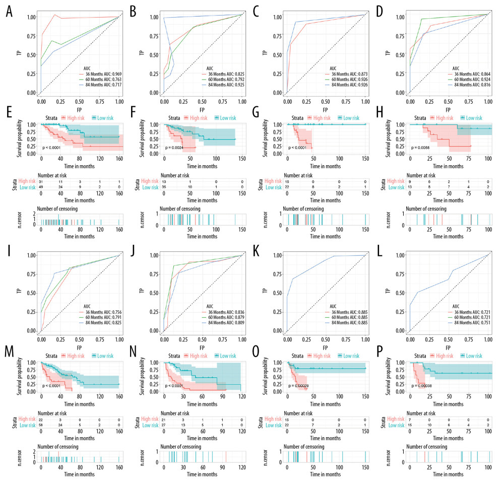 ROC curves and survival curves in 8 subgroups. ROC curves of OS nomogram in LMS (A), DLP (B), UPS (C), and MFS (D). Survival curves of OS in LMS (E), DLP (F), UPS (G), and MFS (H). ROC curves of DFS nomogram in LMS (I), DLP (J), UPS (K), and MFS (L). Survival curves of DFS in LMS (M), DLP (N), UPS (O), and MFS (P). LMS – leiomyosarcoma; DLP – dedifferentiated liposarcoma; UPS – undifferentiated pleomorphic sarcoma; MFS – myxofibrosarcoma; ROC – receiver operating characteristic; OS – overall survival; DFS – disease-free survival.