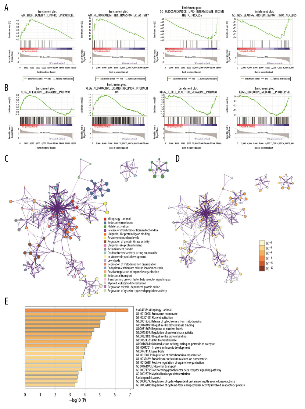 Gene functional enrichment analysis of the MEyellow model DEGs based on GSEA and Metascape. (A) GSEA-based GO analyses. (B) GSEA-based KEGG analyses. (C) Enrichment GO-KEGG color by cluster analyses using Metascape. (D) Enrichment GO-KEGG Color by P-value analyses using Metascape. (E) Enrichment heatmap selected GO-KEGG analyses using Metascape. DEGs – differently expressed genes; GSEA – Gene Set Enrichment Analysis; GO – Gene Ontology; KEGG – Kyoto Encyclopedia of Genes and Genomes.