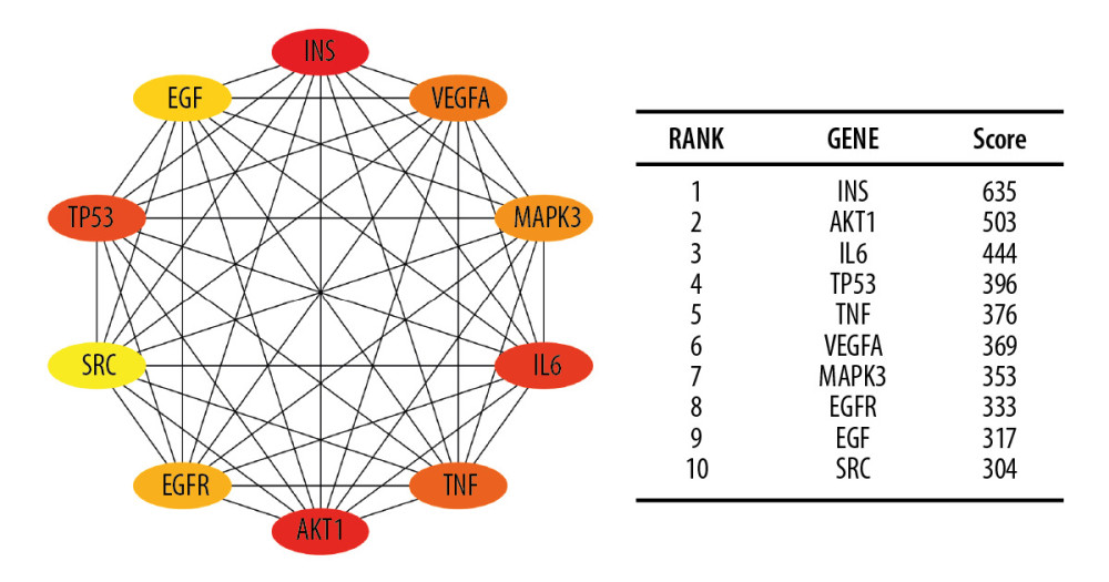 The top 10 hub genes of IRRGs. The more forward ranking was indicated by a redder color. IRRGs – insulin resistance-related genes.