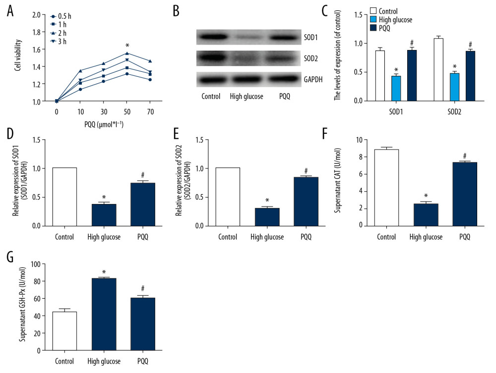 PQQ inhibits high glucose-induced OS damage in NRK-52E cells. (A) CCK-8 method for detecting optimal culture concentration and time of PQQ. (B) Western blot detects SOD1 and SOD2 expression. (C) Protein analysis. (D) SOD1 mRNA. (E) SOD2 mRNA. (F) CAT activity. (G) GSH-Px content. * Compared with the control group, P<0.05; # Compared with the high glucose group, P<0.05. PQQ – pyrroloquinoline quinone; OS – oxidative stress; CCK-8 – Cell Counting Kit-8; SOD – superoxide dismutase; mRNA – messenger RNA; CAT – catalase; GSH-Px – glutathione peroxidase.