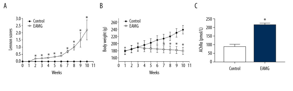 Assessment of the EAMG rat model. (A) Lennon scores were increased in EAMG models compared to control animals. (B) Body weight was reduced in EAMG models compared to the control group. (C) Levels of serum anti-AChR were increased in EAMG models compared to control animals as determined by ELISA analysis at 10 weeks after establishment of the EAMG model. The results are expressed as mean±SD (n=5 rats/group). * p<0.05 compared to control group.