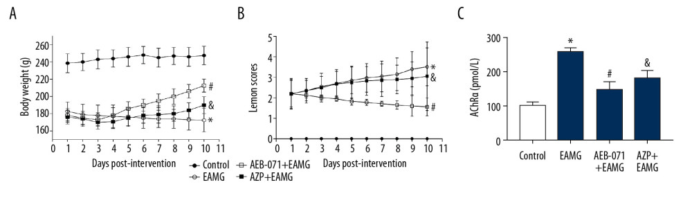 AEB-071 improved the clinical symptom of EAMG rats. (A) AEB-071 treatment reversed the body weight decline in EAMG rats. (B) AEB-071 treatment reduced the Lennon score in EAMG rats. (C) AEB-071 treatment reduced serum anti-AChR level in EAMG rats as measured by ELISA analysis after 10 days of drug intervention. The results are expressed as mean±SD (n=5 rats/group). * P<0.05 compared to control group; # P<0.05 compared to EAMG group; & P<0.05 compared to AEB-071+EAMG group.